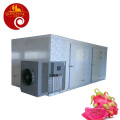 Plum Automatic Hot Air Drying Machine